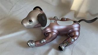 Image result for Aibo Different Colors