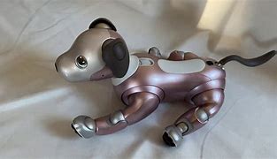 Image result for Aibo Ers 1000 Collar