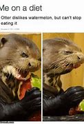 Image result for Monkey Diet Meme