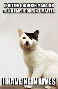 Image result for Kitler Cat Meme
