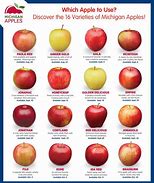 Image result for Tart Red Apple Varieties