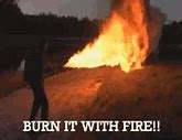 Image result for Burn It with Fire Meme
