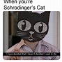 Image result for Hemin Cat Meme