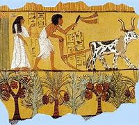 Image result for Ancient Egyptian Peasants