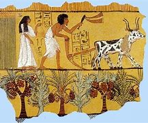 Image result for Ancient Egypt Farm