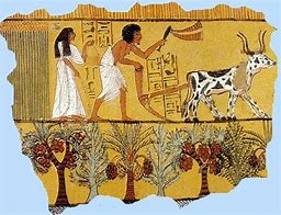 Image result for Ancient Farming Art