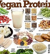Image result for What Foods Are Vegan
