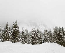 Image result for White Winter Wallpaper