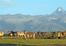Image result for Mara Highlands Kenya