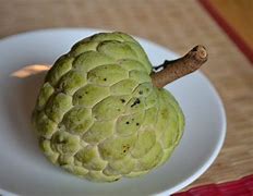 Image result for Custard Apple Fruit