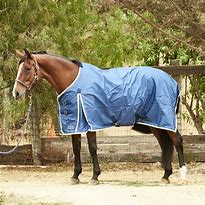 Image result for PHT Horse Blankets