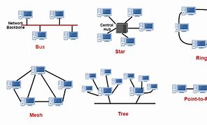 Image result for Kinds of Topology
