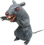 Image result for Halloween Rat