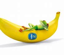 Image result for Banana Funny Pic