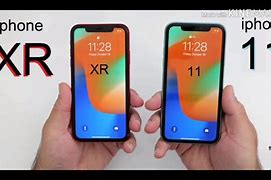 Image result for iPhone XR Photo vs iPhone 11 Photo