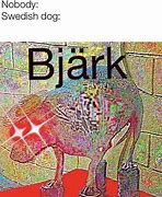 Image result for Bjark Dog Meme