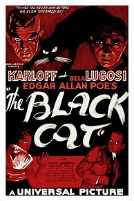 Image result for The Black Cat Movie Poster Project