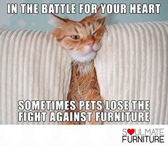 Image result for Living Room Furniture Protection Meme