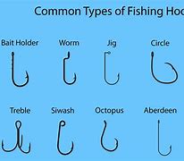 Image result for Saltwater Fishing Hook Types