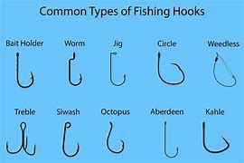 Image result for fish hook