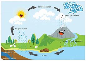 Image result for Poster About the Water Cycle