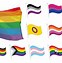 Image result for All LGBTQIA Flags