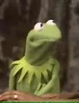 Image result for Kermit the Frog Scrunched Face