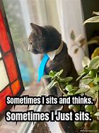 Image result for I Was Not Sitting When I Got the News Meme