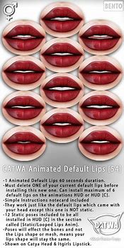 Image result for Second Life Animated Texture