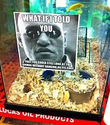 Image result for Funny Retail Signs