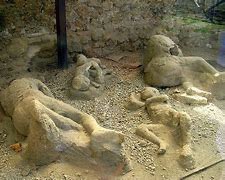 Image result for Pompeii Petrified Bodies