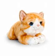 Image result for Kitten Stuffed Animals