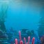 Image result for Underwater Phone Wallpaper