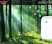 Image result for How to Switch On Sharp Air Purifier
