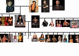 Image result for WWE Roman Reigns Family Tree