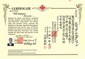 Image result for Certificate Karate Kyokushin