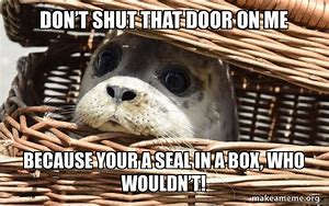Image result for Shut Seal Meme
