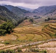 Image result for Vietnam Terraces