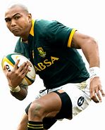 Image result for South African Rugby Logo