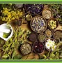 Image result for African Herbs and Their Uses