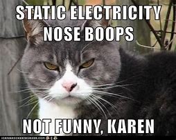 Image result for Karen Cat Memes Funny