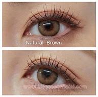 Image result for Contact Lens