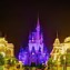Image result for Disney World Castle Landscape HD