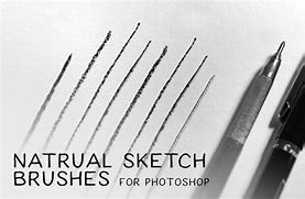Image result for Sketch Brushes Photoshop