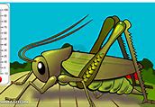 Image result for Crickets Chirping