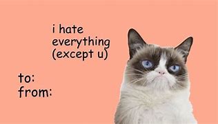Image result for V-Day Meme Cat