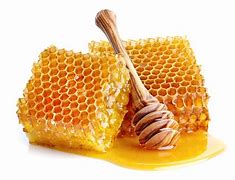 Image result for Local Honey Stickers