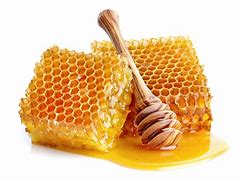 Image result for Local Honey Bee Farms