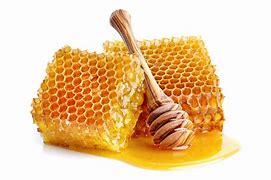 Image result for Honeyches