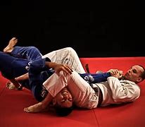 Image result for Jiu Jitsu Fighting Style